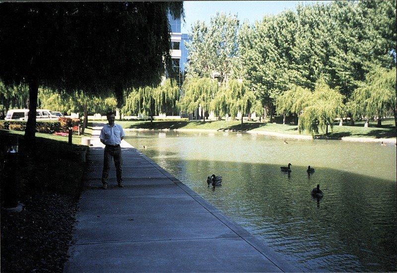 http://www.zaigralin.com/97-02/g00/199704_RedwoodShores01.jpg