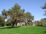 A61007a_RC04.jpg