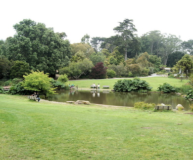 В ботаническом саду