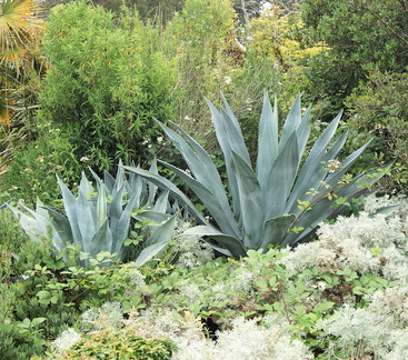 В ботаническом саду