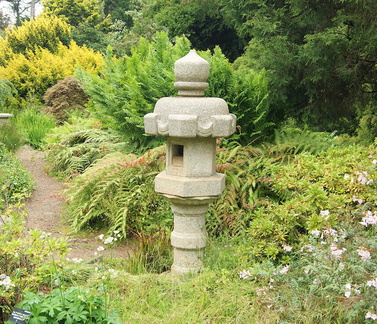 В ботаническом саду