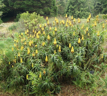 В ботаническом саду