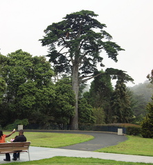 В ботаническом саду