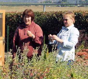 Обмен опытом