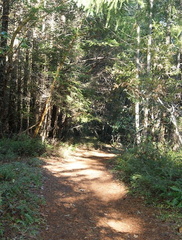 B11128b Prospect03