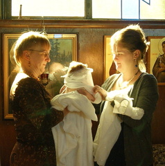 B11231b Saratoga28d1