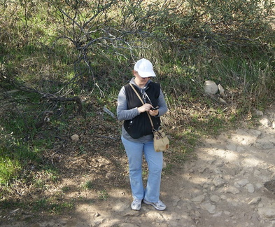 B20310a CastleRockPark50