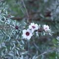 B30116b SM02