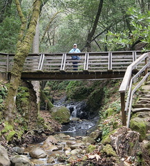 B30202a UvasCanyon19