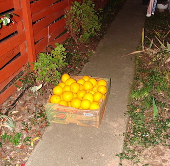 Урожай / Harvest