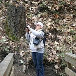 Siskiyou Mountain Park