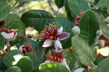 B30503b SJ05