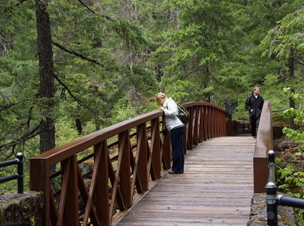 B30526b RogueRiver03