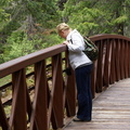 B30526b RogueRiver03d1