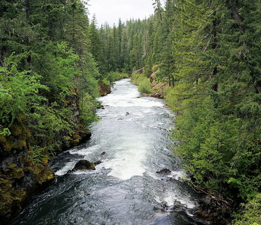 Река Рог / Rogue River