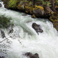 Река Рог / Rogue River
