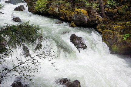 Река Рог / Rogue River