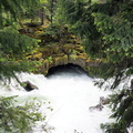 B30526b RogueRiver10