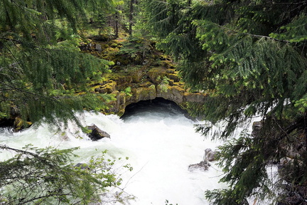 B30526b RogueRiver10