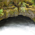 B30526b RogueRiver11
