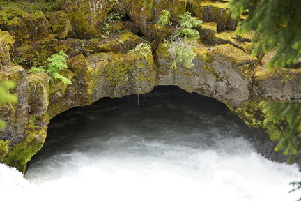 B30526b RogueRiver11