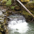 B30526b RogueRiver14