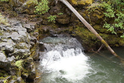 B30526b RogueRiver14
