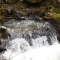 B30526b RogueRiver15