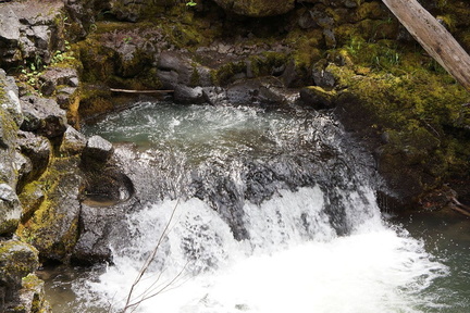 B30526b RogueRiver15