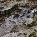 Природный мост / Natural bridge