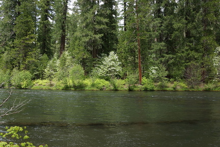 Река Рог / Rogue River