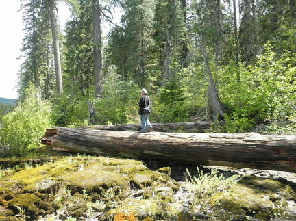 B30526c RogueRiver08