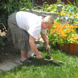 About us :: Про нас