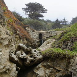 Half Moon Bay - Santa Cruz :: От Халфмунбэя до Санта Круза