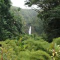 Водопад Акака / Akaka Falls