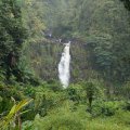Водопад Акака / Akaka Falls