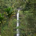 Водопад Акака / Akaka Falls