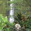 Водопад Акака / Akaka Falls