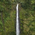 Водопад Акака / Akaka Falls