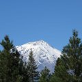 Шаста / Mt Shasta