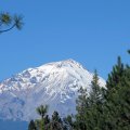 Шаста / Mt Shasta