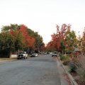 Осень на улице Кило