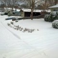 Снегопад в Медфорде