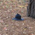 В парке, шляпа