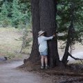 Оля обнимает дерево