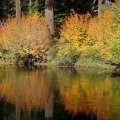 Осень у реки Рог